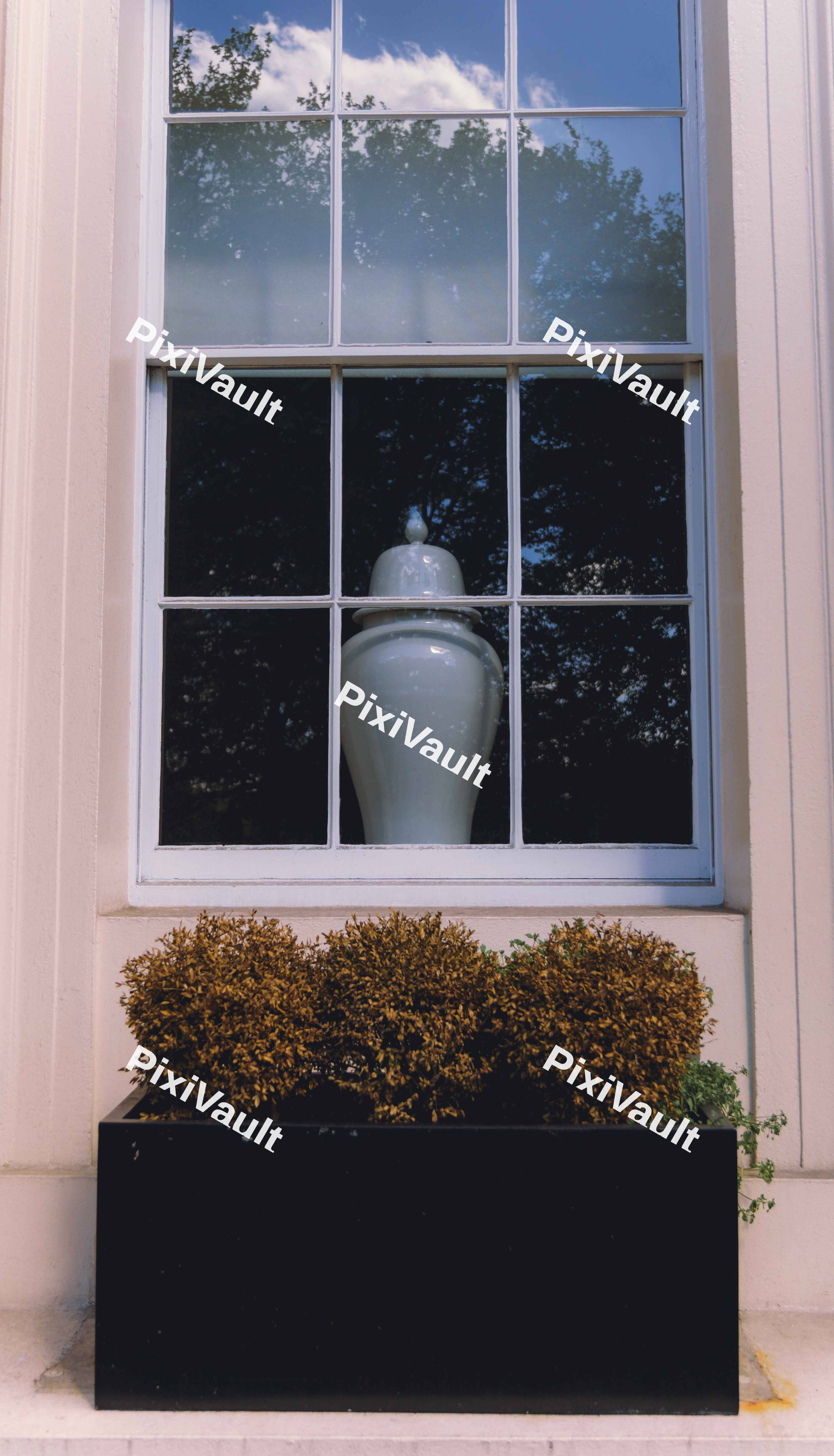 Urn In Window
